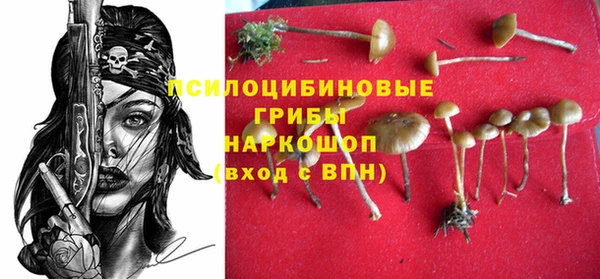 амф Баксан
