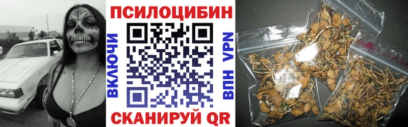 Псилоцибиновые грибы Psilocybine cubensis где найти наркотики Невьянск
